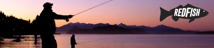 Banner-HomeMedio2-der-750